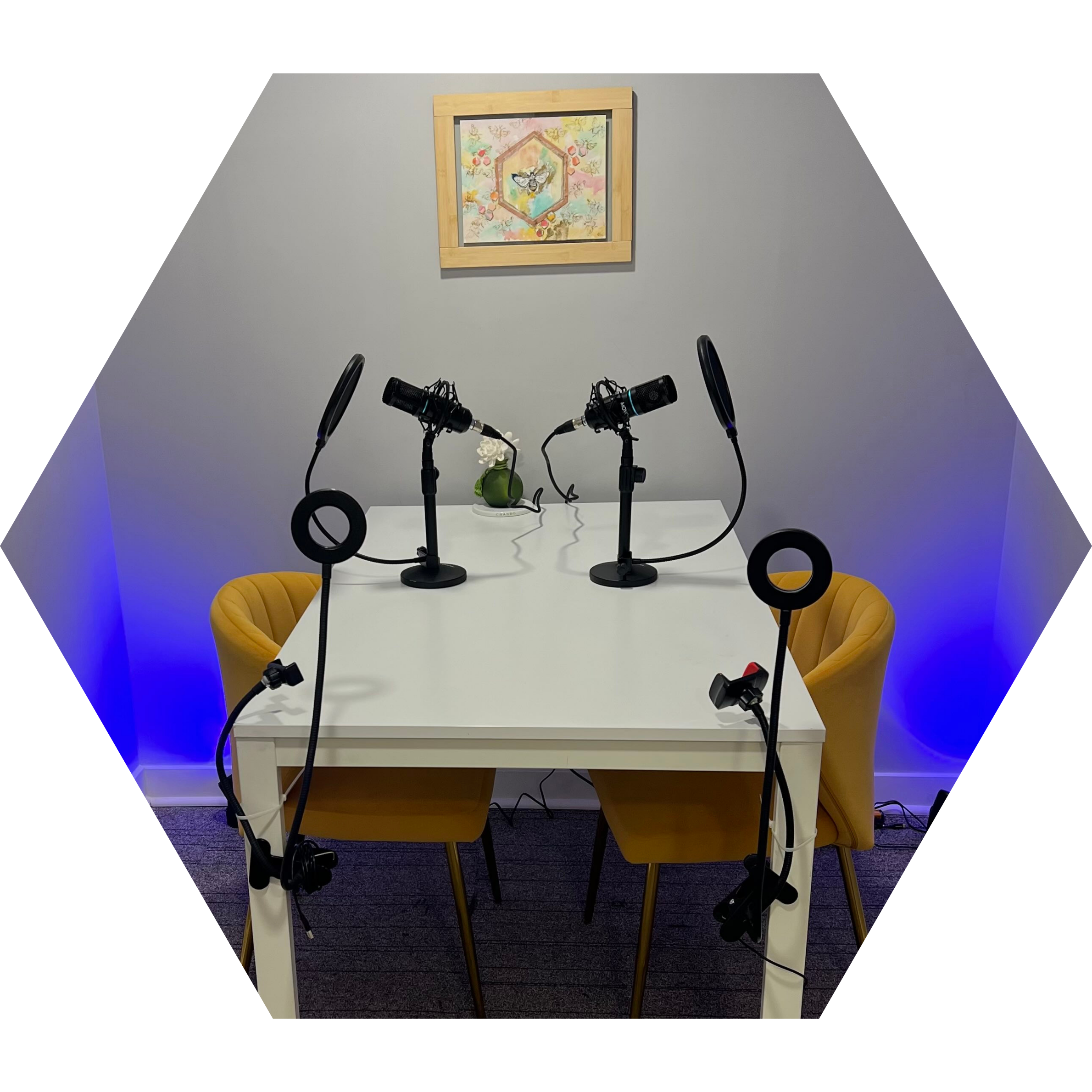 Private office recording studio in Wichita KS with microphones, ring lights, and seating for one to two people